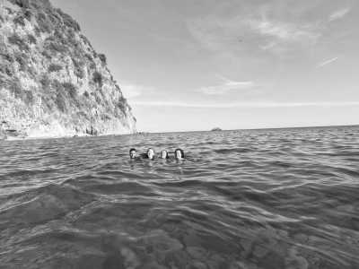 Montenegro - Budva - Travel to Montenegro - Freediving, Boat trip, Road Trip, BBQ, Party and Hidden Gems - 2