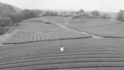 Korea, South - Jungmun-dong - Enjoying Nature in Korean Hawaii: A Week on Jeju Island - 3