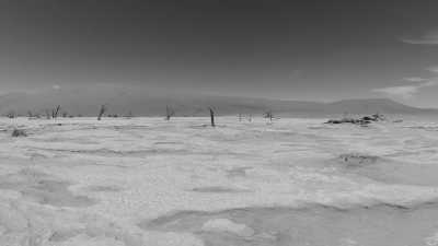 Namibia - Solitaire - Namibia - Eine unvergessliche Reise mit Tierbegegnungen - 3