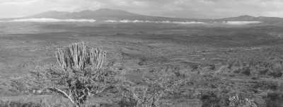 Tanzania - Lake Manyara National Park - Tanzania Wilderness – Unique Experience – ALL INCLUSIVE - 3