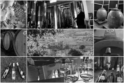 Griechenland - Nemea - Travel to the Holy Land | Athens, Greece the Pilgrims lands of gods - 2