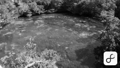 Tanzania - Mafia Island - Your Ultimate Travel Destination with 99% of Natural Reserve: Tanzania - 5