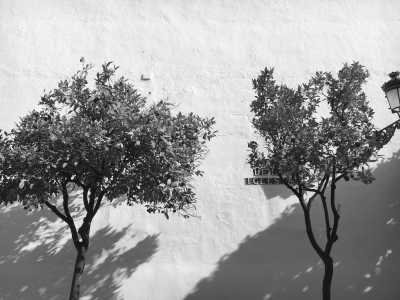 Spanien - Old Town - Sunny Days, Vibrant nights: Exploring the Enchanting Blend of Culture and Coastline in Malaga and Marbella! - 1