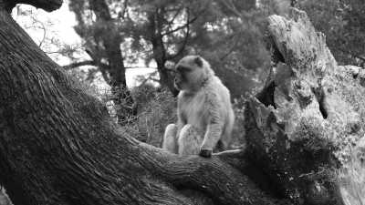 Marokko - Waterfalls Akchour - Take A One Week Adventure: Explore the North of  Morocco - 2