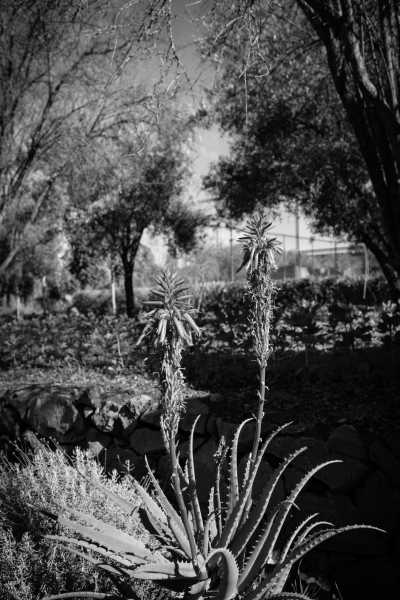 Morocco - Ourika Valley - Marrakech, Morocco Travel worry-free (Yoga, discovery, food and tours) - 1