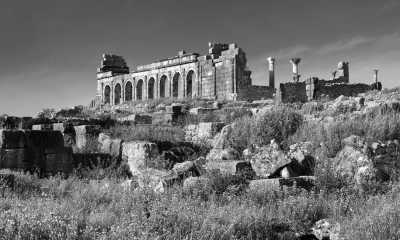 Marokko - Conservation du site Archéologique de volubilis - Discover the Hidden Gems of Fez: A Journey Through Morocco's Cultural Capital - 1