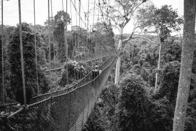 Ghana - Fiesta Royale Hotel - Explore Kakum National Park, Ghana - with a Local! - 1