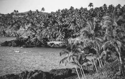 Indien - Discover Goa: A Perfect Blend of Beaches, Culture, and Nightlife! - JoinMyTrip