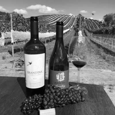 Brazil - Santo Antônio do Pinhal - Brazil as you've never seen! Embrace Nature's Beauty at Serra da Mantiqueira - 1