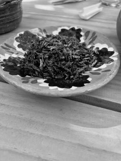 Mexico - Oaxaca - DAY OF THE DEAD AT OAXACA - 36