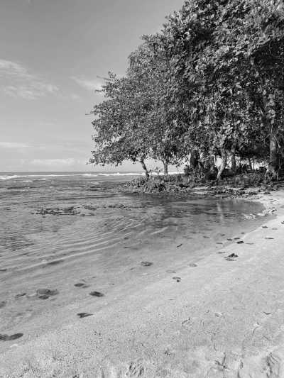 Costa Rica - Puerto Viejo de Talamanca - Caribbean Delights: A Journey through Costa Rica - 1