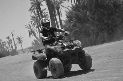 Morocco - Palm Grove - Morocco Exploration Trip With Sahara Desert Camp Included (Shared Room) - 2