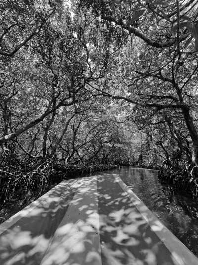 Mexiko - Catemaco - Day of the Dead Roadtrip in Mexico - 6