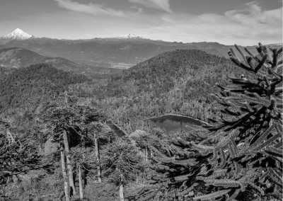 Mexico - Reserva Ecológica El Corchito - Work while Getting to Know the Beautiful Mérida in Mexico - 1