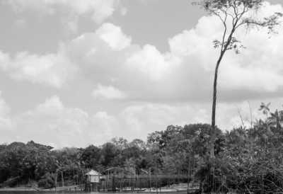 Brazil - Ilha do Cumb - Unique Co-Working Experience in the Metropolis of the Amazon Rainforest! - 7