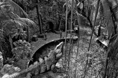 Mexiko - Playa del Carmen - Yucatán & Playa del Carmen: Mayan Ruins, Ocean Adventures and New friendships on Mexico's Caribbean Coast 🇲🇽 🏖🌊🌮  (Mexico Trip Part 3) - 10