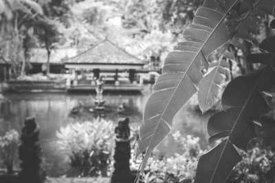 Indonesia - Ubud - 8 Days Female-Only Luxury Yoga & Life Coaching Live Your Best Life Retreat in Bali - 1