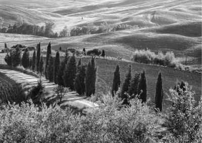 Italien - LAST SPOT!Tuscany & Umbria💚Full Italian Experience WITH A LOCAL🙋‍♀️far from turist traps! Gastronomy, traditional festivities, nature and unforgettable experiences😍 - JoinMyTrip