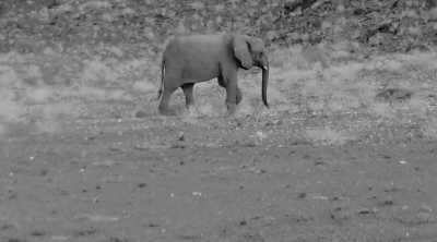 Subsahara-Afrika - Twyfelfontein - Namibia - Botsuana - Sambia - Simbabwe - 1