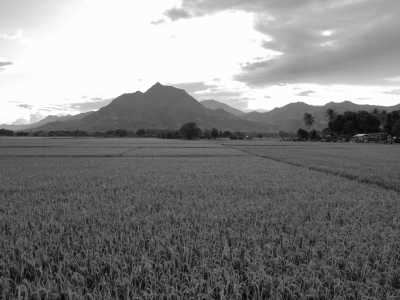 Philippinen - Brooke's Point - Palawan Paradise Exploration: From El Nido to Balabac, Philippines - White Beaches to Cultural Delights! - 5