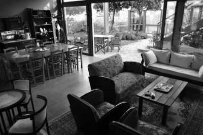 Greece - Pirgi Thermis - Co-Working Trip with a Local on the Greek island of Lesvos 💻🇬🇷 - 3