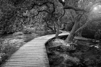 Croatia - Krka Waterfall - Croatian Paradise Found: Beaches, Culture, Vibrant Nightlife and Gastronomic Marvels in Zadar - 1