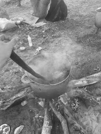 Gambia, The - Buniadu - Feel The Gambia 🇬🇲 The smiling coast of Africa - Roundtrip - 3