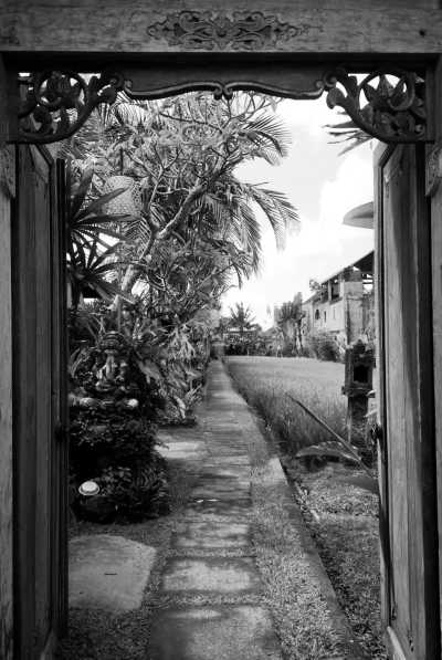 Indonesien - Ubud - Bali: Majestic Waterfalls, Iconic Beaches, Volcano Climbing, Snorkeling and Wellness | All in Indonesia - 7