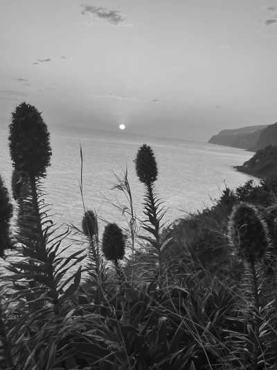 Portugal - Ponta do Sol - Coworkation and adventurous hiking trip with a knowledgeable expat in the centre of Funchal, Madeira (single rooms) - 5