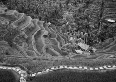 Indonesien - Ubud - Travel to Bali, Indonesia | 10 Days of Surfing, Snorkelling and Exploring - 3