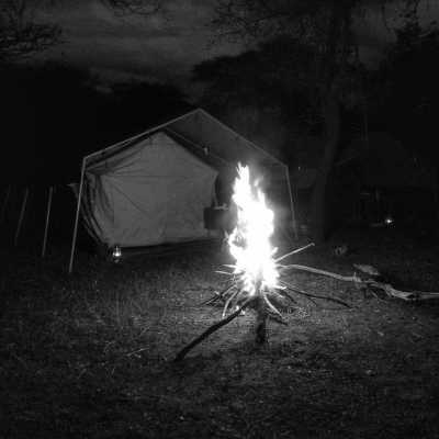 Kenya - Masai Mara National Reserve - Exploring an Epic Safari Nature Reserve: Maasai Mara National Reserve, Kenya - 2