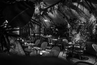 Netherlands - Utrecht - Smoke Boat Trip in the Netherlands - 5