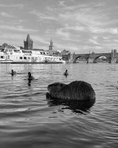 Czechia - Old Town - Have A Romantic Trip to Prague: See the Most Magical Spots and Feed the Deers in  Czech Republic - 3