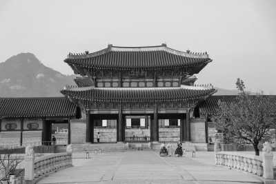Eastern Asia - Nami Island - Discover South Korea & Japan: Nami Island, Mount Fuji, Samurai Experience, Matcha making and more!