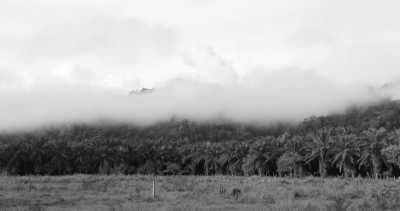 Costa Rica - La Gamba centro - Co-working und Volunteering im Regenwald Costa Ricas - 11