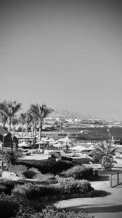 Egypt - Sharm Al Shiekh - Egypt's Adrenaline Rush: A Discovery Journey to the Hidden Gems and magical spot. - 5
