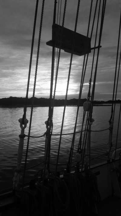 Europa - Dänische Südsee - Segeln von Kiel - Deutschland nach Kopenhagen - Dänemark und Besuch der "Kieler Woche" - 5