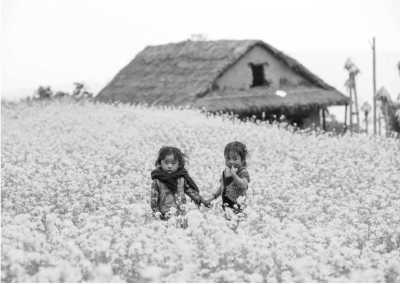 Nepal - Num - Makalu Base Camp Trek - Uncrowded Trek to Nepal’s 5th Highest Peak
