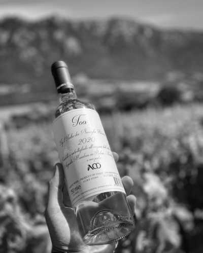 Italy - San Teodoro - Discover Sardinia's best beaches, caves and local food ☀️ - 3