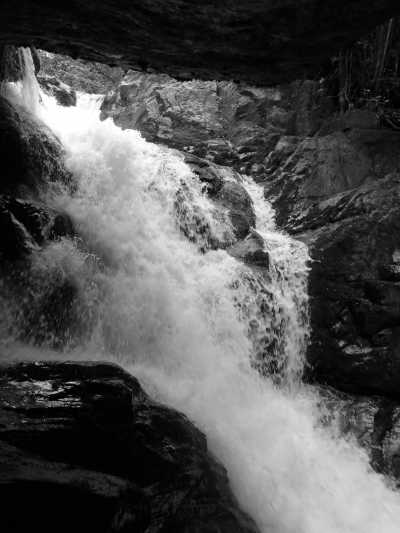 Costa Rica - San Gerardo de Dota - Best Beaches and Mountains of Costa Rica with a Local!! - 1