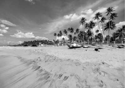 Sri Lanka - Coworking at Sri Lanka with a Local: Overlooking Tropical Beaches, Cool Sunsets, Hilly Mountains, Crystal Clear Water - JoinMyTrip