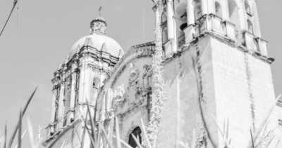 Mexiko - Museum of Cultures of Oaxaca, Santo Domingo - Explore Oaxaca with a Local 🌵 🌞 Mezcal, Mexican Cuisine 🌮  Culture 🗿 & more 🌶