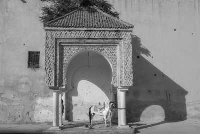 Morocco - Meknès - Marokko Rundreise - Entdecke die Königstädte und Wüste - 5