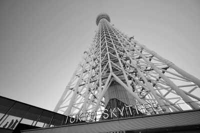 Japan - Tokyo Skytree - Blossoms & Cities: Japan’s Spring Adventure 2025