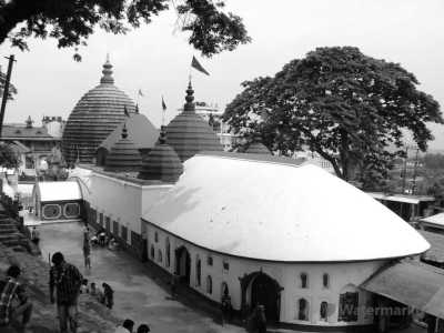India - Kamakhya Temple - See the majestic One-Horned Rhino in Pobitora, India - A tranquil oasis where you can relax and rejuvenate!