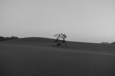 Spain - Lajares - Slow Living and Co-Working in Fuerteventura: El Cotillo - 2