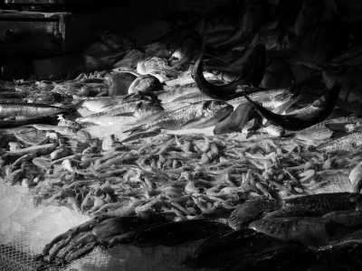 Italien - Catania - LAST SPOT AVAILABLE!!! Sicilian Paradise II Edition! Discover the Best of Sicily through local experiences with a local Coordinator: Chocolate tasting, Secret Food and Wine Experiences - 2