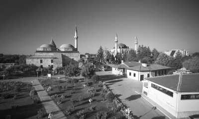 Saudi-Arabien - Buraydah - Saudi Arabia 🐪: Road trip through the UNESCO's AlUla, Edge of the world, 🌋 Lava fields, 🥾 Canyon hike, Culture 🇸🇦 - 2