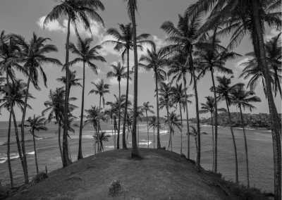 Sri Lanka - Polhena Beach - 17-Days CoWorking Adventure in SRI LANKA: Beach I Safari I Surf I Pool & BBQ - 1