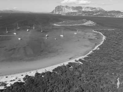 Italy - Punta Est - Puntaldia - Explore the Marvelous Beaches of San Teodoro in Sardinia island, a gem of Italy (Single room) - 4